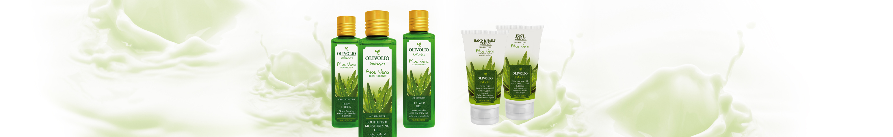 Aloe Vera