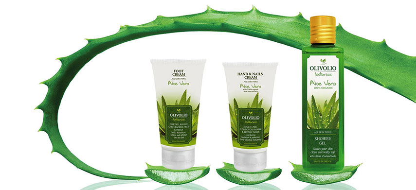 Aloe Vera
